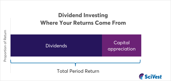 Dividend Investing from dividends and capital appreciation